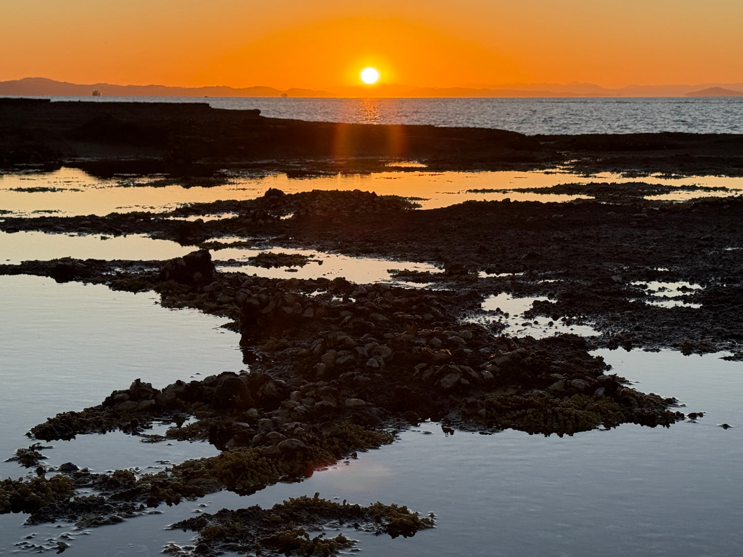 Browns Island Rockpool
