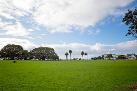 St Heliers to Churchill Point