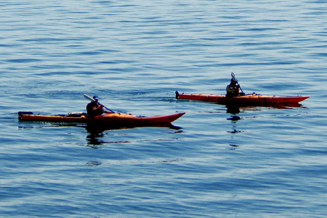Sea Kayaking