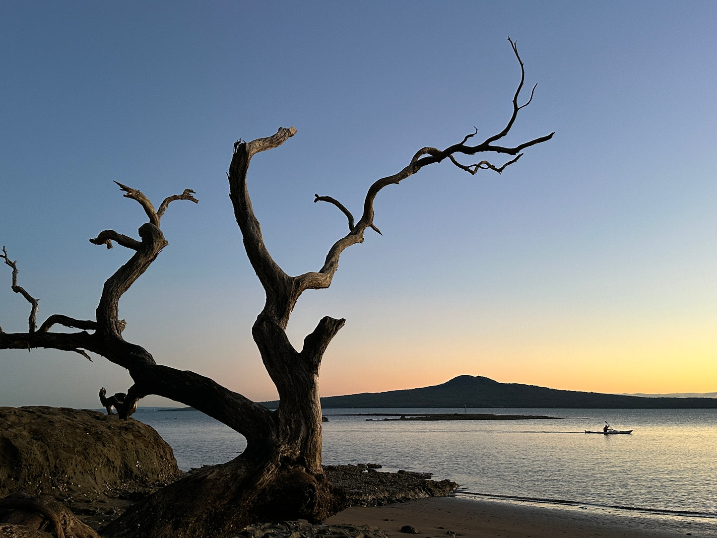 Kayaking Gentlemens Bay [750mm H X 1000mm W]