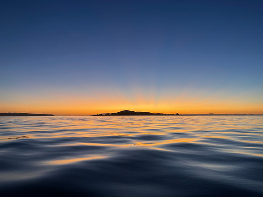 Browns Glassy Waves