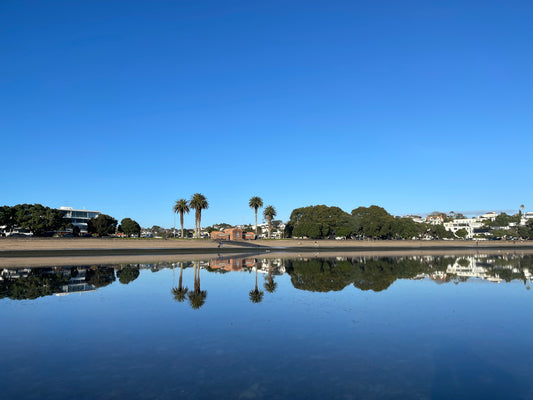 St Heliers from the Water