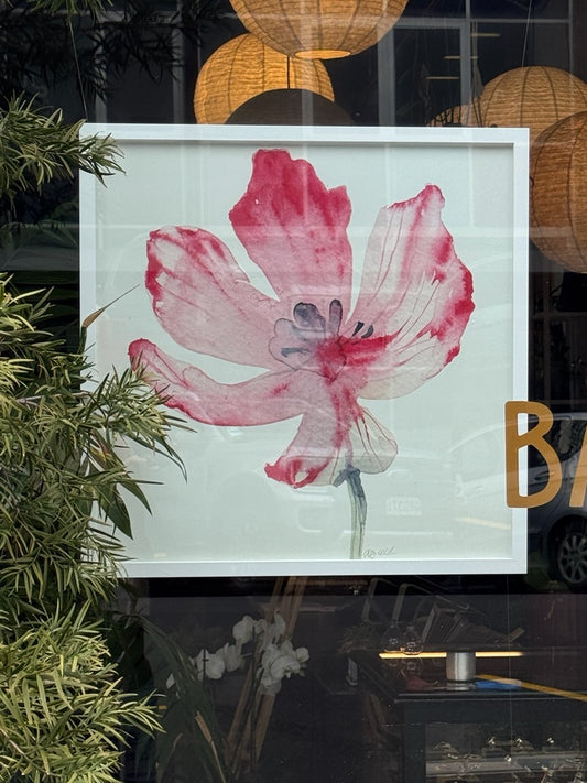 Poppy Study 1